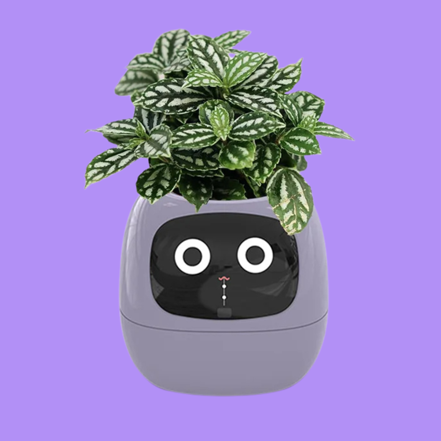smart planter pot with feelings Smart Planter – esupply