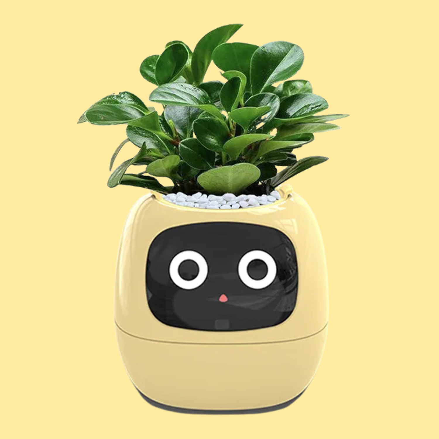 lua smart plant pot amazon Smart Planter – esupply